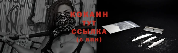 твердый Арсеньев