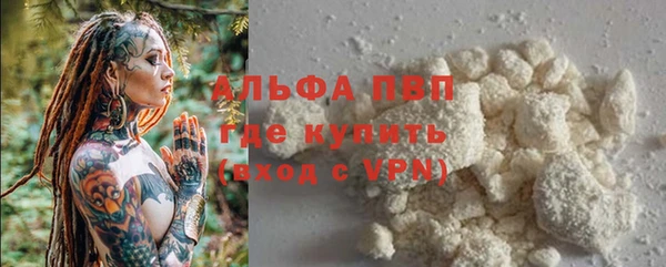 твердый Арсеньев
